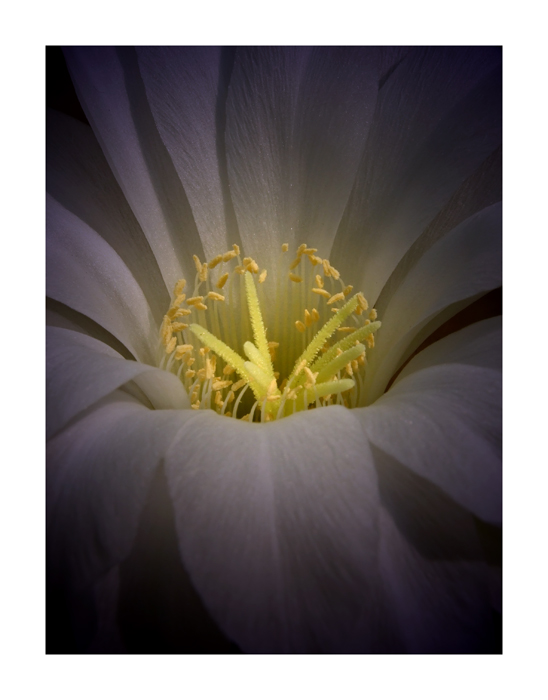 una volta e mai pi�