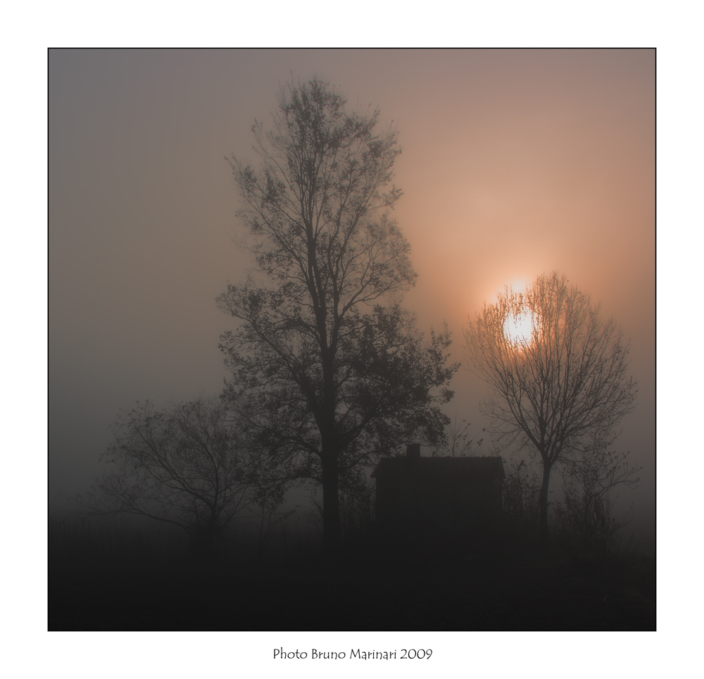 Novembre...... nebbie al mattino