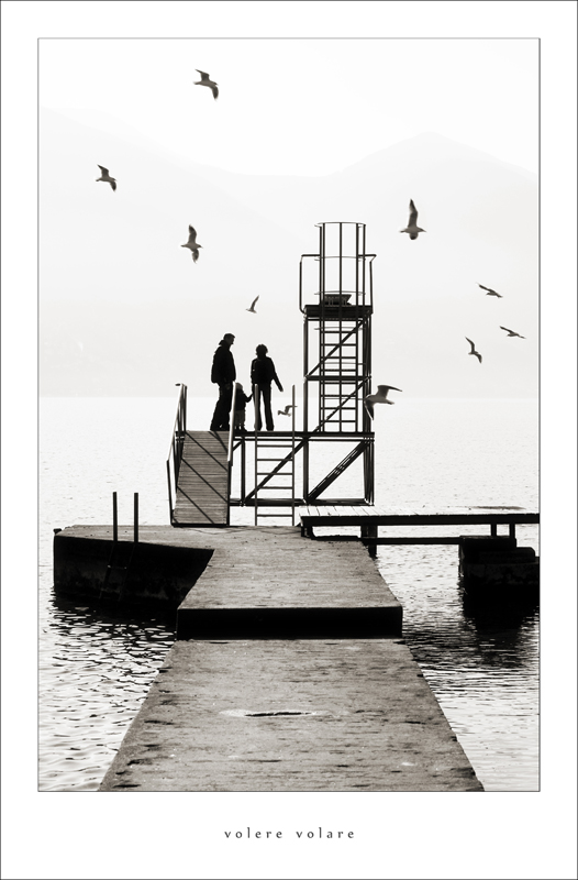 volere volare