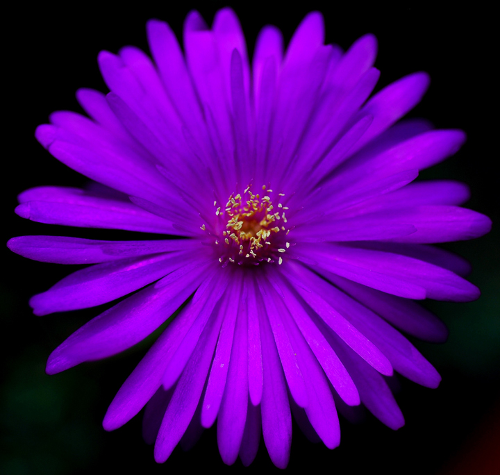 Prova effetto ottico..