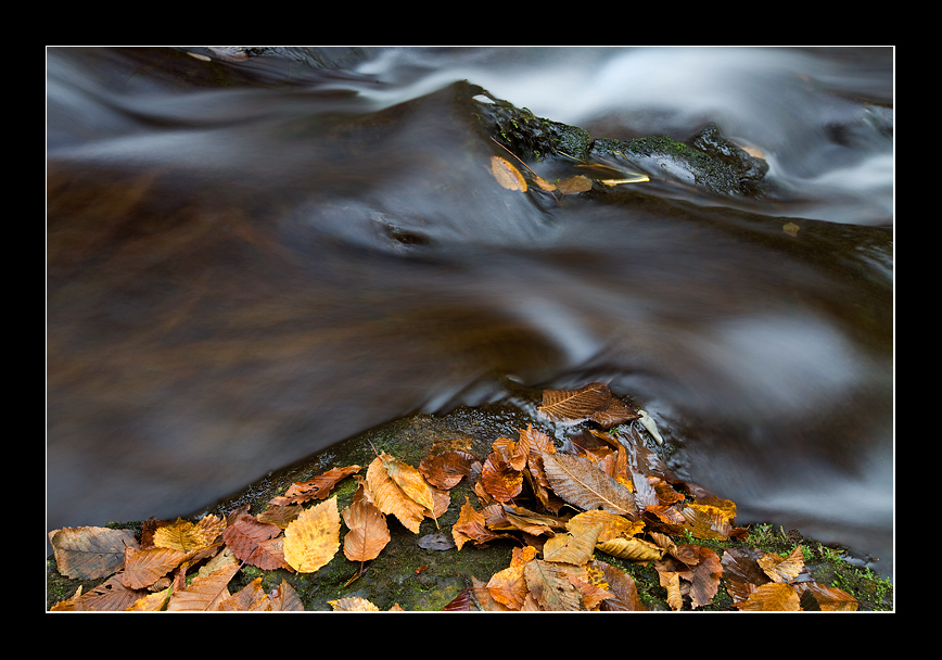 Tonalit� autunnali