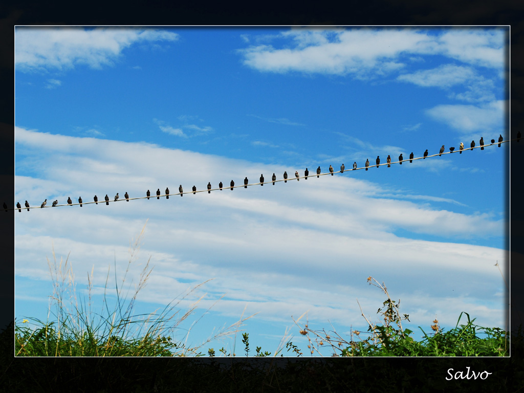 Attesa...elettrizzante