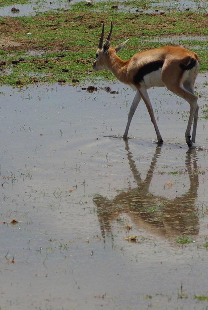 Little water. Big life