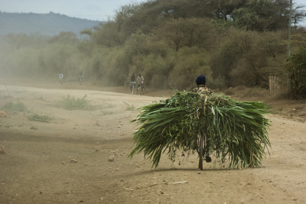 Trasporto eccezionale
