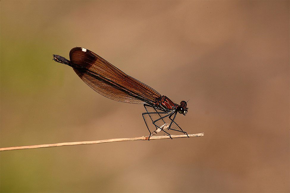 ...In Attesa Della Nuova Stagione...!!!