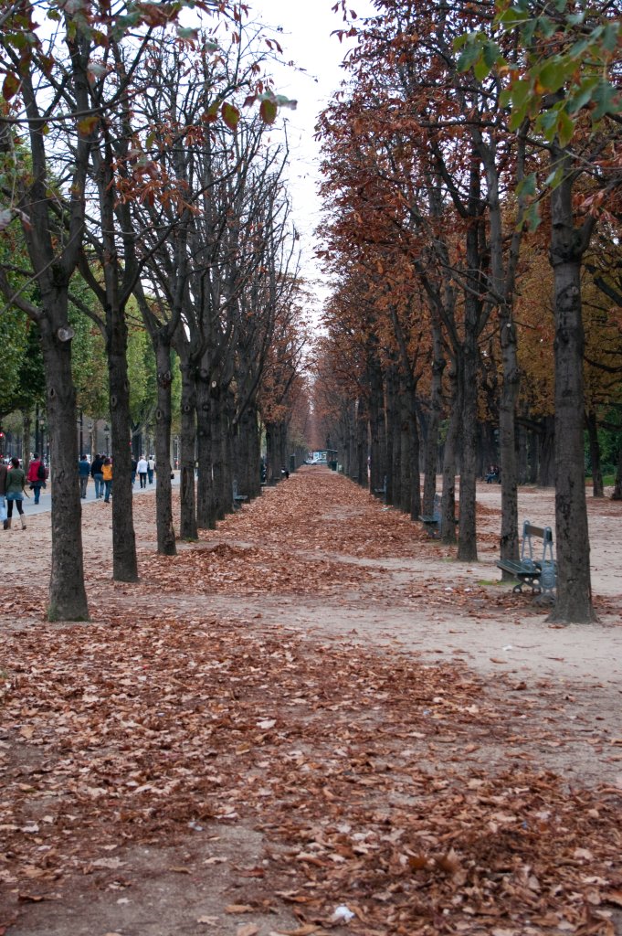 Autumn in Paris