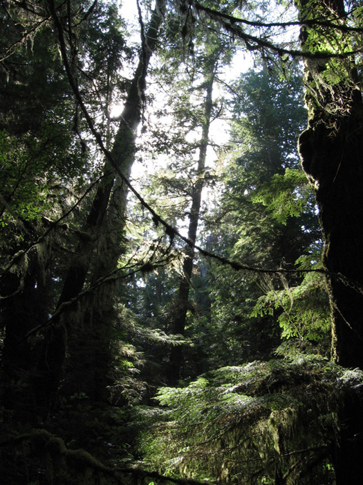 impenetrabile - Canada