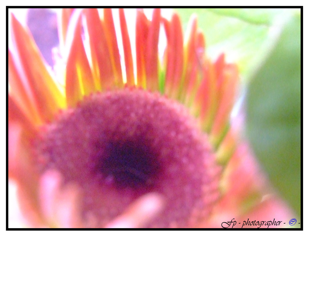 esperimenti sul colore