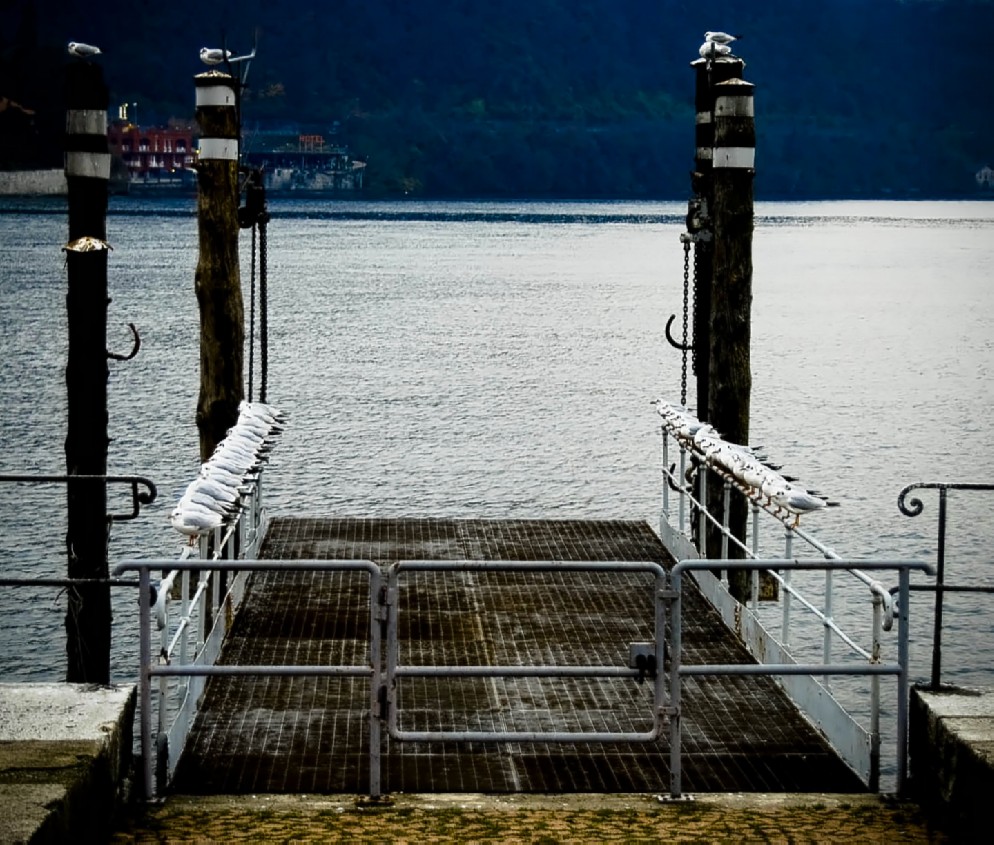 Simmetria uomo/natura