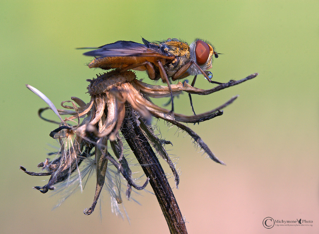 ..aspettando impazientemente