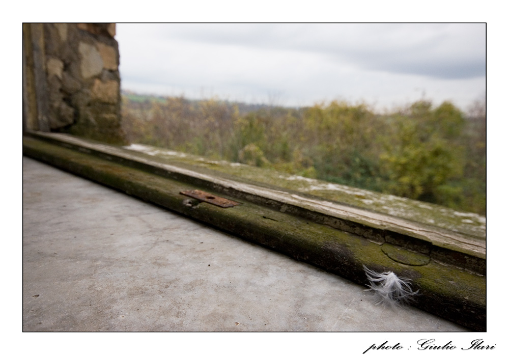 ricordi di un volo...