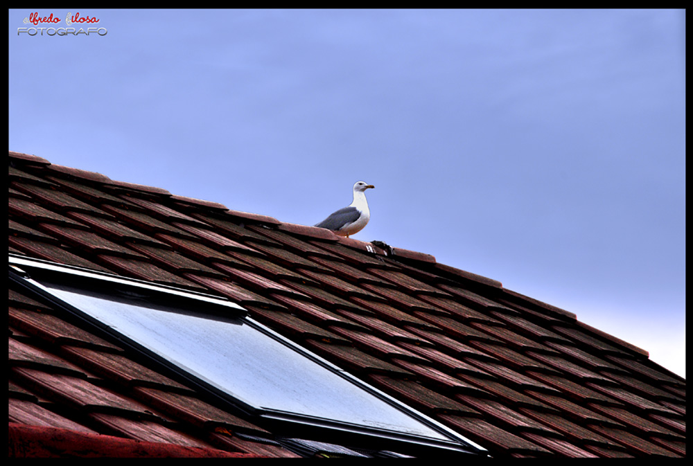 Aspettando al Sole..