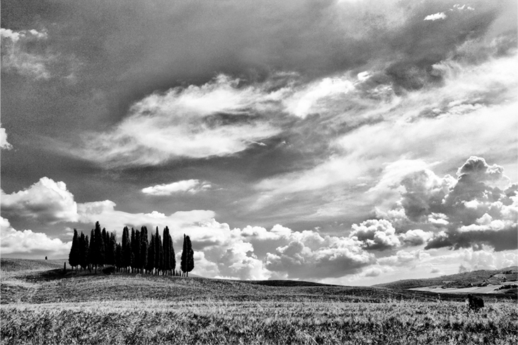 originalit� del soggetto = 0