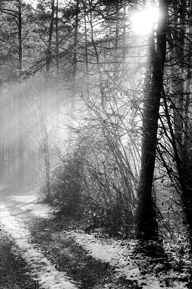 � arrivato l'inverno