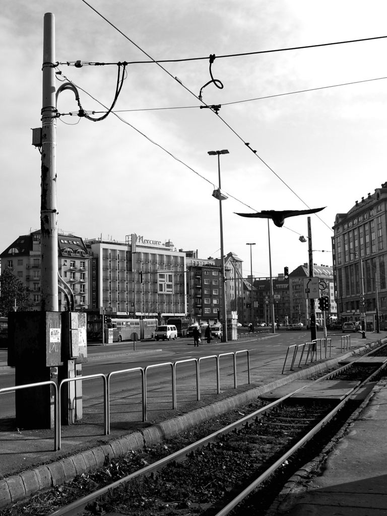 LANDING ON TRAM LINE