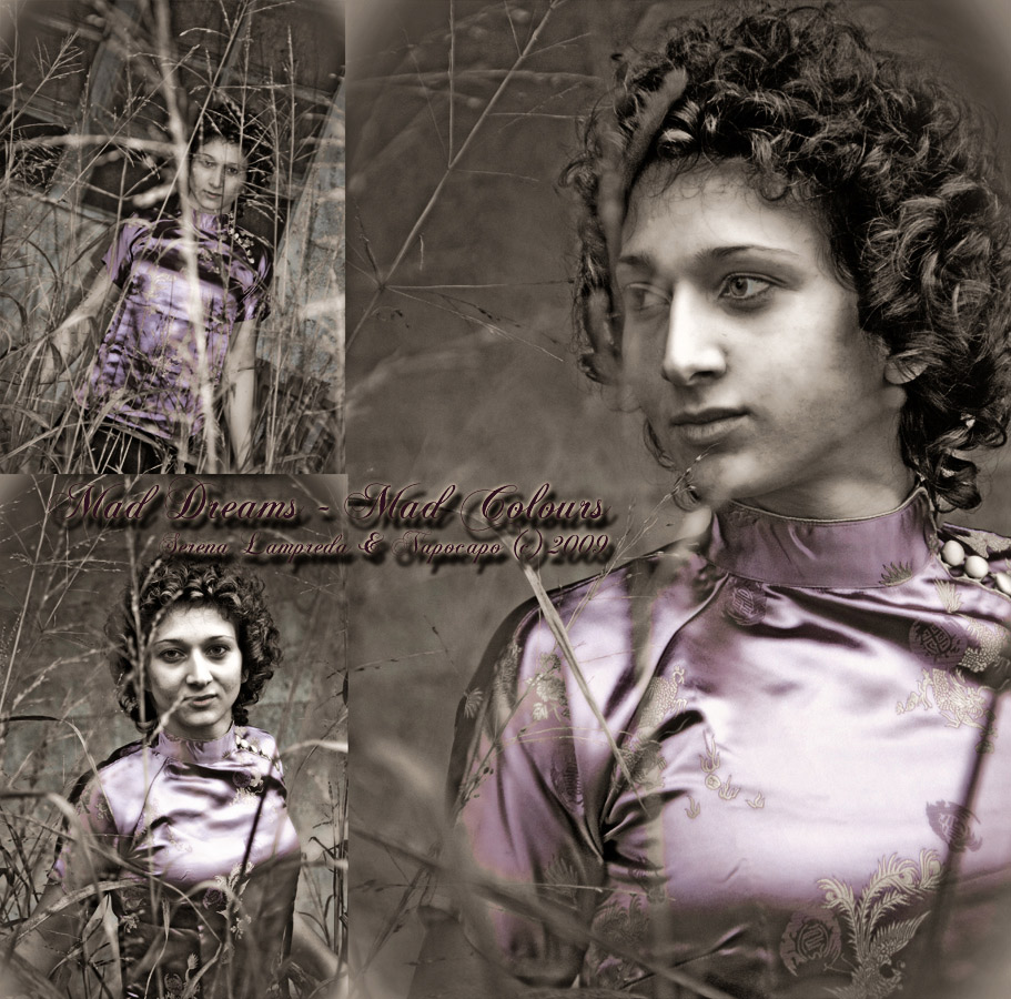 MAD DREAMS MAD COLOURS