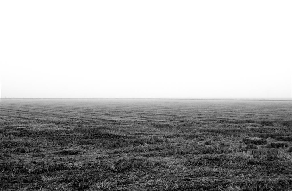 Autunno nella campagna Vercellese