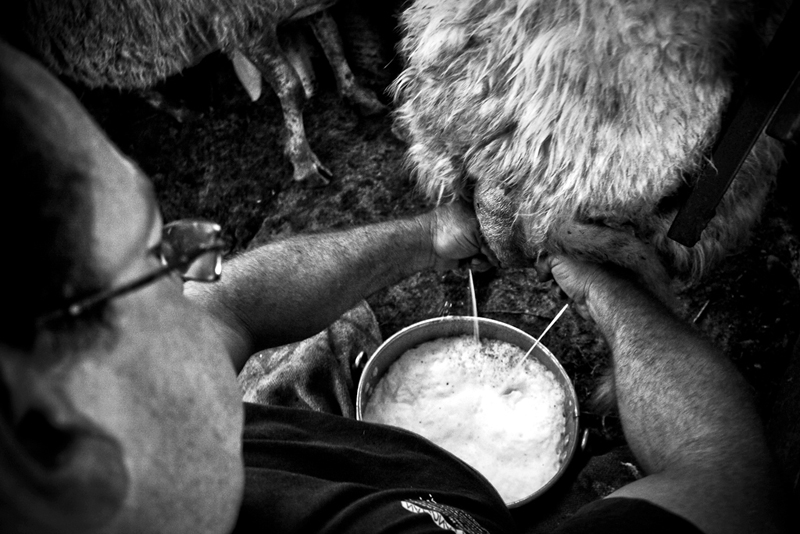Mungitura
