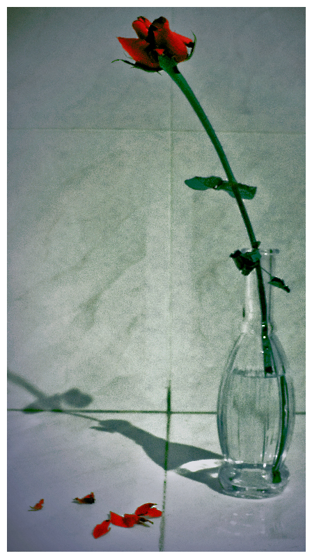 somethings going to die