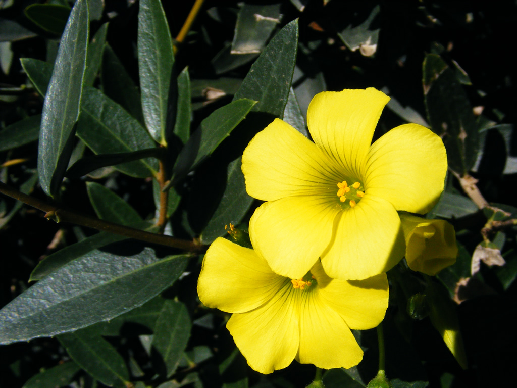 prima prova in assoluto