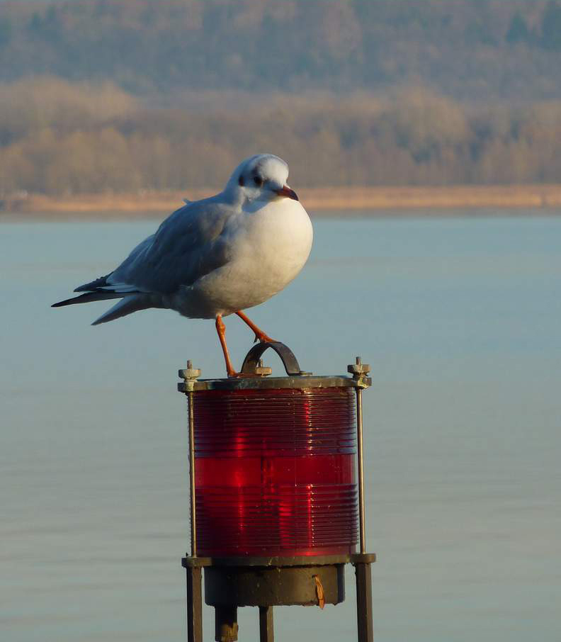 Il Guardiano del faro