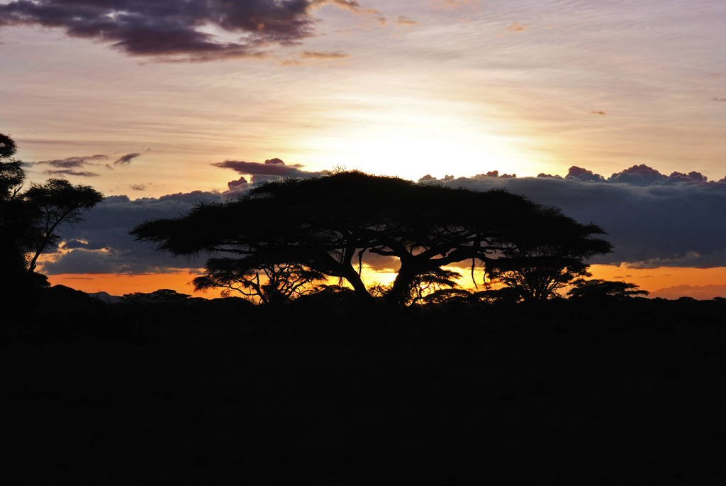 Tramonto Africano
