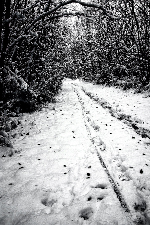 verso.................