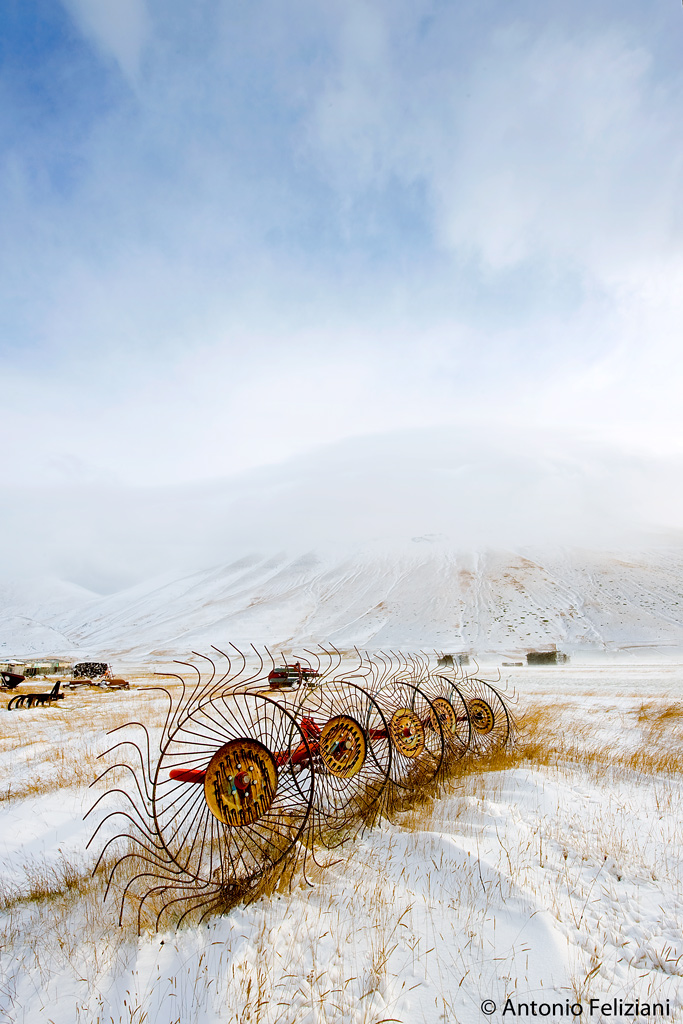 In attesa della primavera