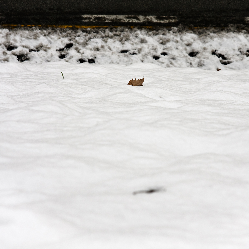 .. e il naufragar m'� dolce...