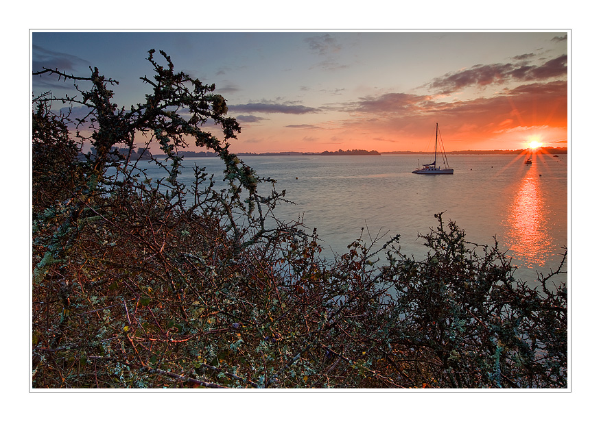 First light on the harbour