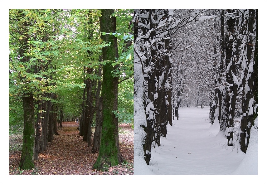 Stesso posto...due stagioni