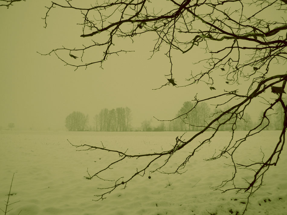 Buone Feste da Mantova