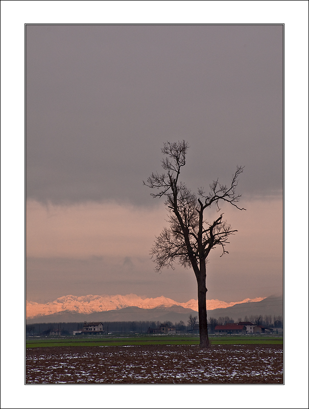 Solo soletto 2....Con colori e senza neve
