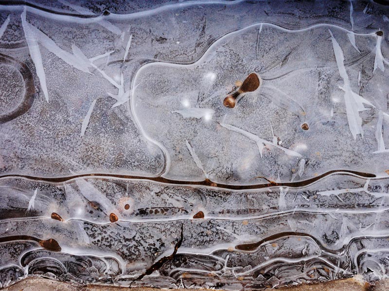 Natural art - ice 1