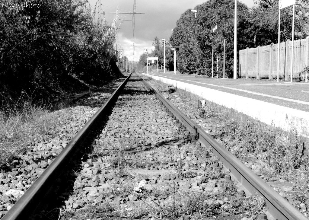 Parallele convergenti