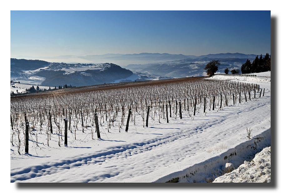 Vigne e neve