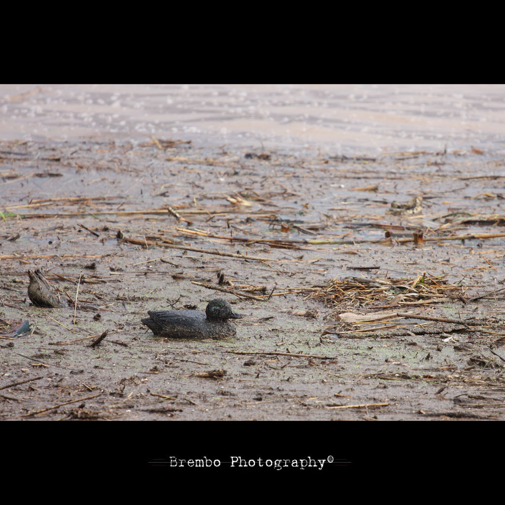 La violenza dell'alluvione...