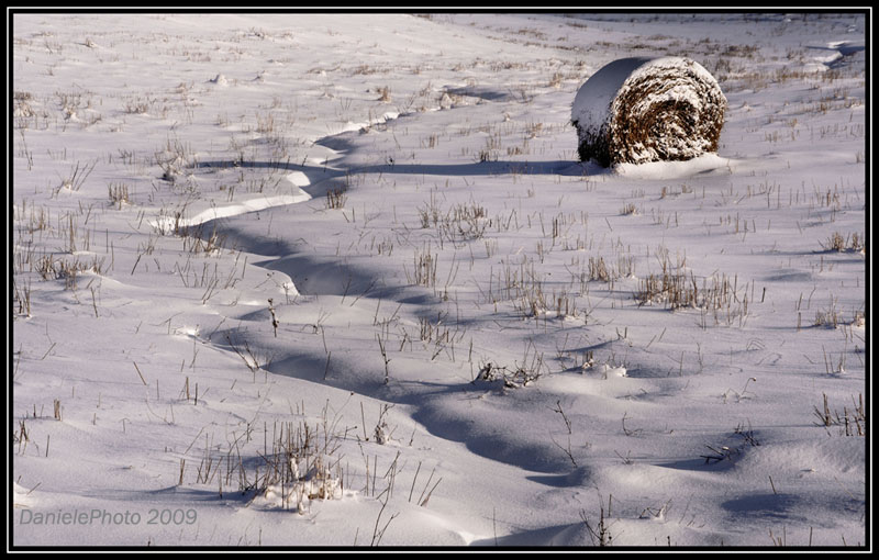 ..sola ed abbandonata..