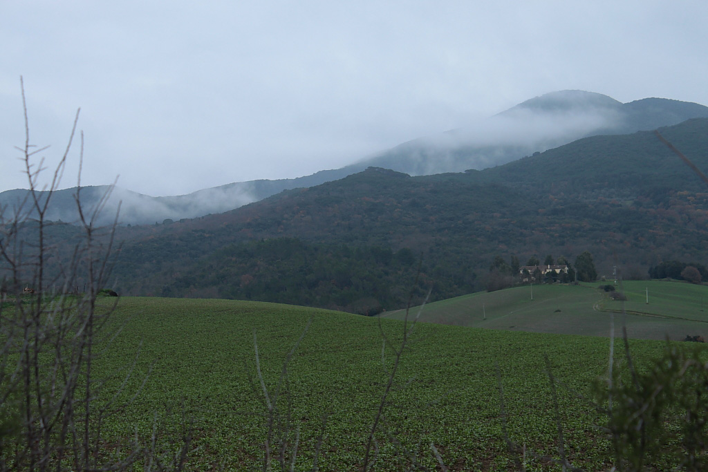 Colline nella nebbia