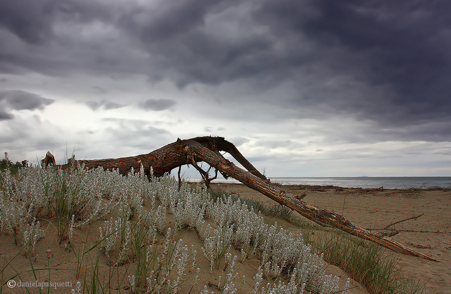 prima di partire per un lungo viaggio