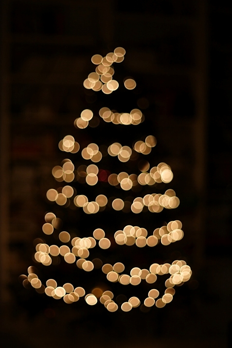 Albero di natale