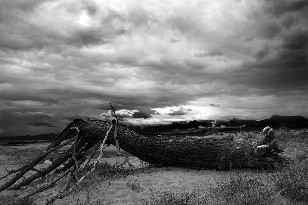 la forza delle proprie idee