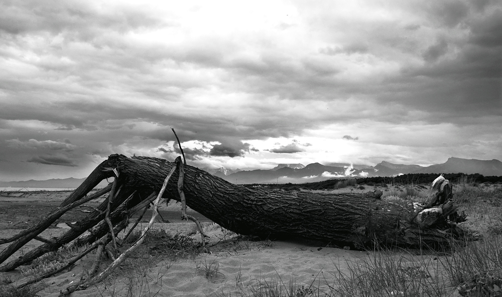 la forza delle delle idee....2