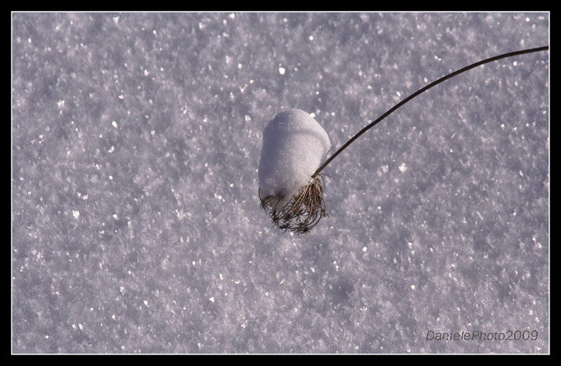 ..il peso...mi ha piegato..