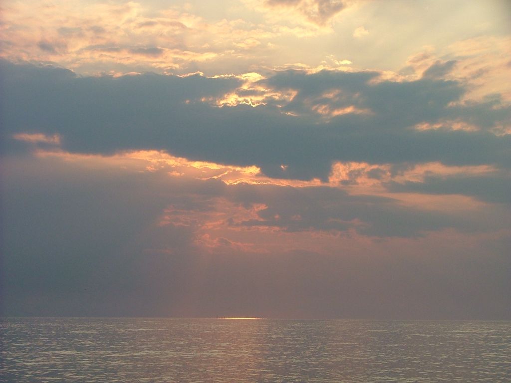 sua maest�...la natura