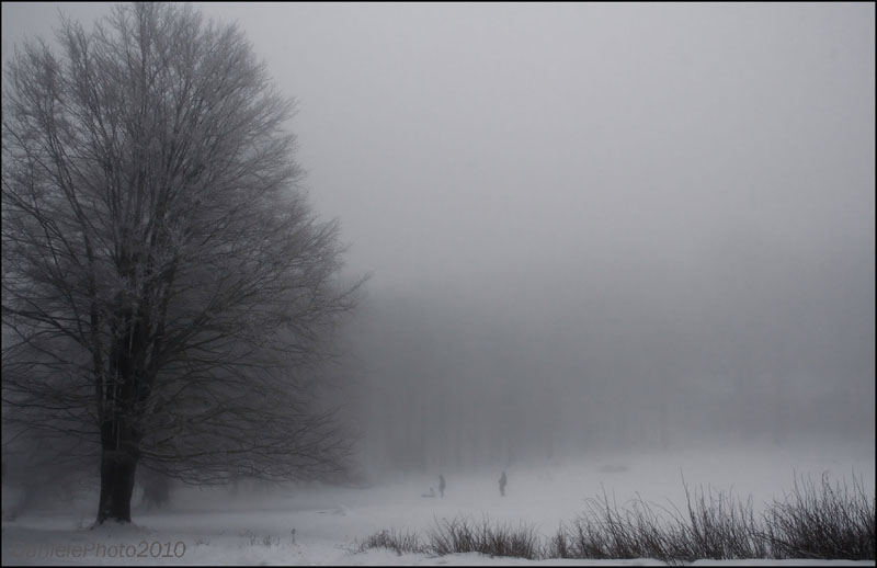 nebbia & neve