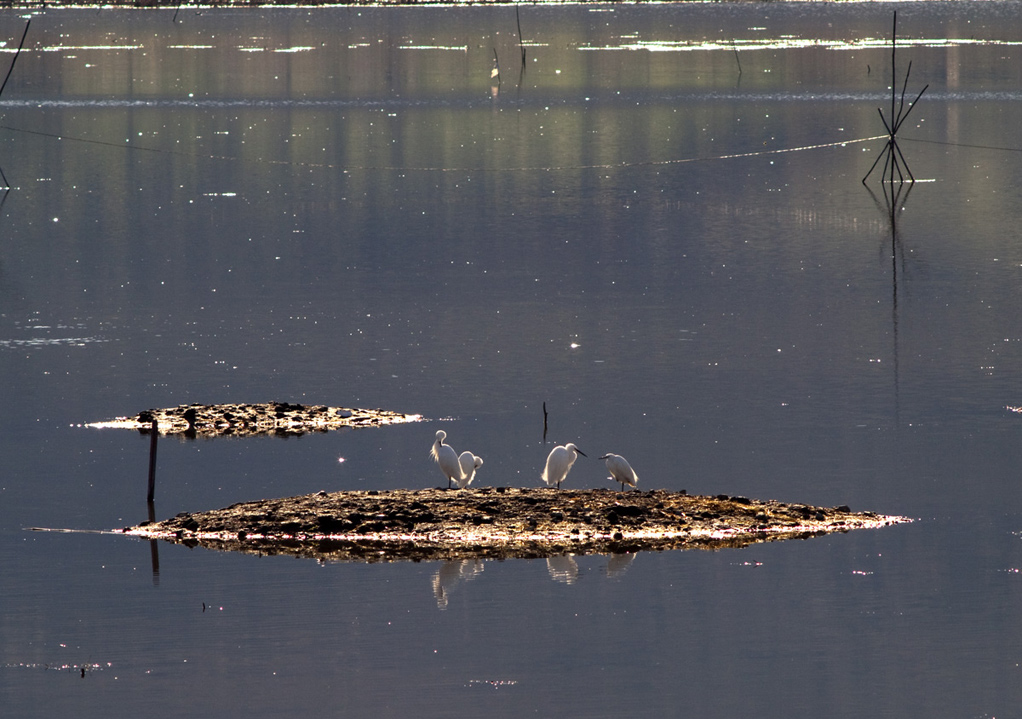 visti all'oasi sul trasimeno
