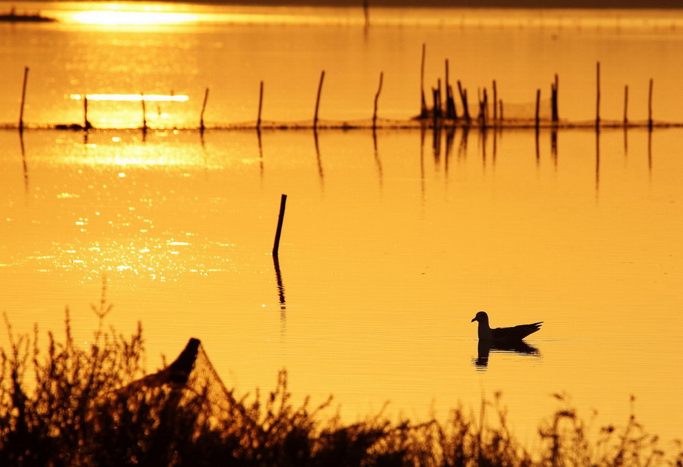 Silhouette nelle Valli...