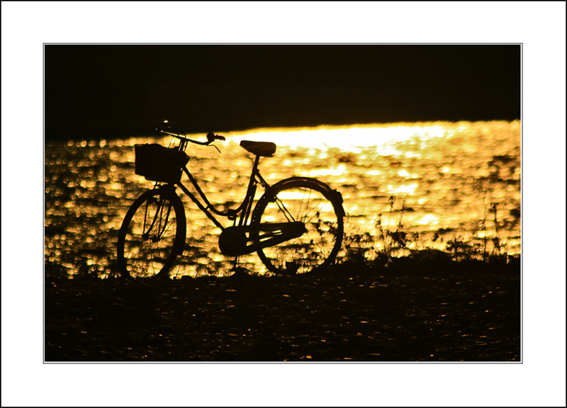 controluce bike