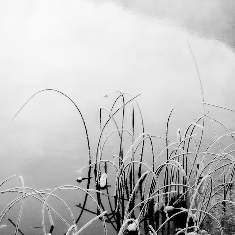 something in the nothing